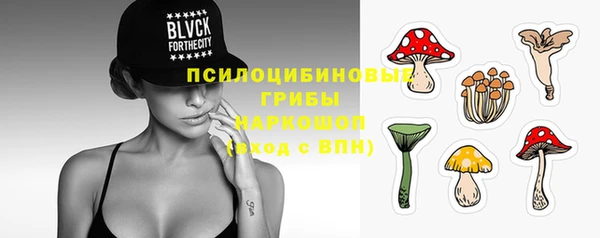 прущий лед Алексин