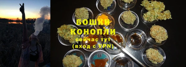 apvp Костерёво